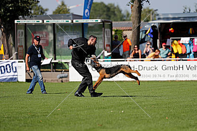 Cerberus von Erikson