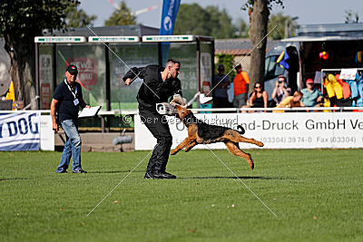 Cerberus von Erikson