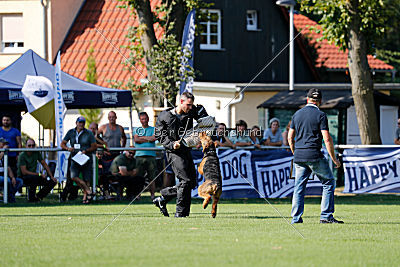 Cerberus von Erikson