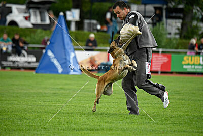 Chako vom Break Even Point