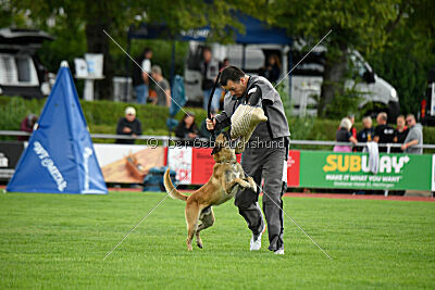 Chako vom Break Even Point