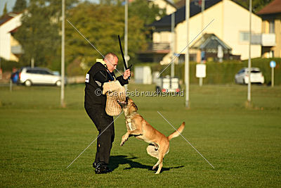 Chako vom Break Even Point