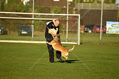 Chako vom Break Even Point