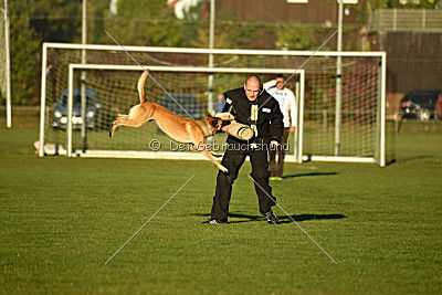 Chako vom Break Even Point