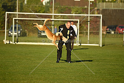 Chako vom Break Even Point