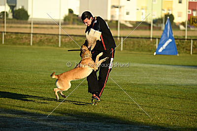 Chako vom Break Even Point