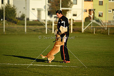 Chako vom Break Even Point