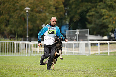 Champ vom Lupus Alpha