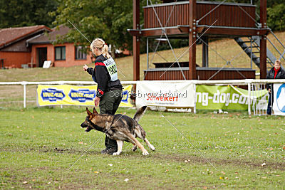 Champ vom Rischebachtal