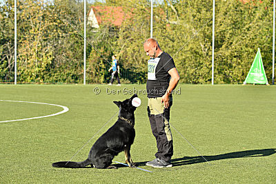 Champion von Neo Karthago