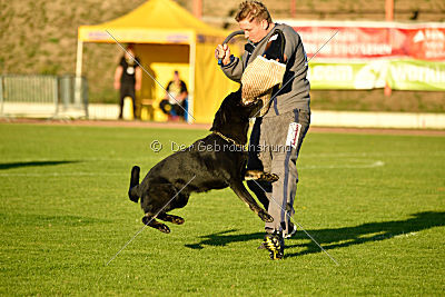 Champion von Neo Karthago