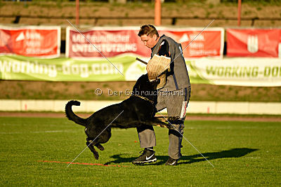 Champion von Neo Karthago