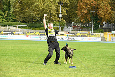 Chapa vom Drachenwolf