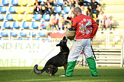 Charlie Bobo z Ditcina dvora