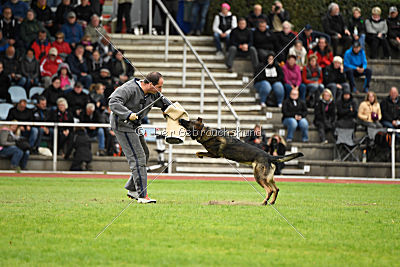 Checker vom Schwäbischen Land