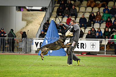 Checker vom Schwäbischen Land