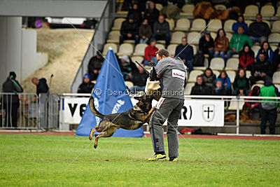 Checker vom Schwäbischen Land