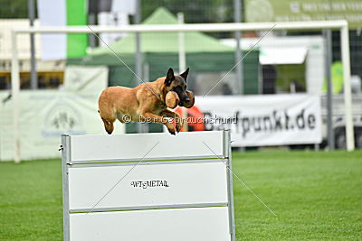 Chelsea von den Mecklenburger Rüpeln