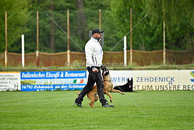 Chelsea von den Mecklenburger Rüpeln