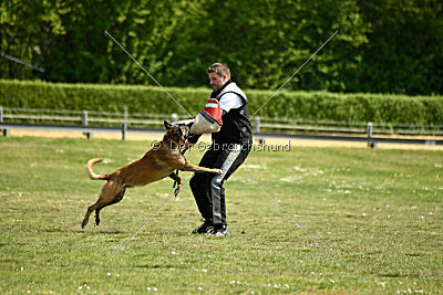 Cheng von Malihatten