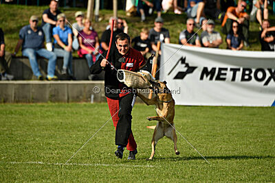 Chess von der Bundeswehr