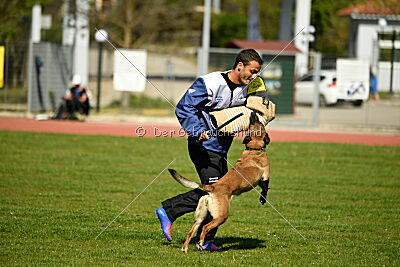 Chicka Force Canina