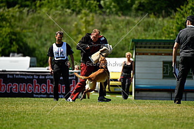 Chilly vom Clan der Wölfe