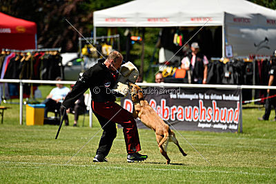 Chilly vom Clan der Wölfe