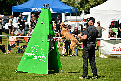 Chilly vom Clan der Wölfe