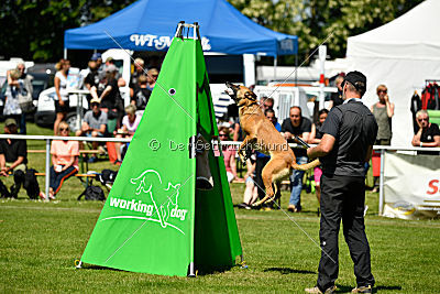 Chilly vom Clan der Wölfe