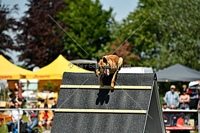 Chilly vom Clan der Wölfe