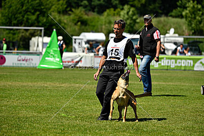 Chilly vom Clan der Wölfe