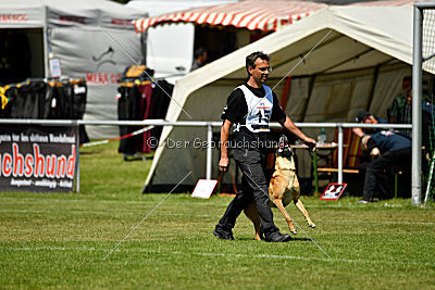 Chilly vom Clan der Wölfe