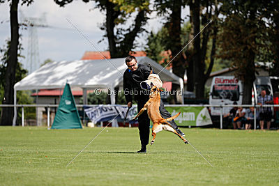 Chilly vom Clan der Wölfe