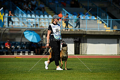 Civan Av Schwarz Engeln