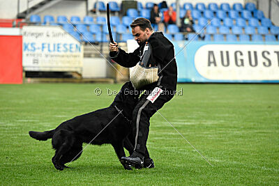 Cliff vom Hause Ripp