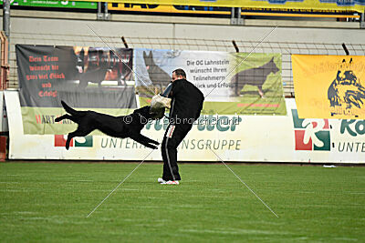 Cliff vom Hause Ripp