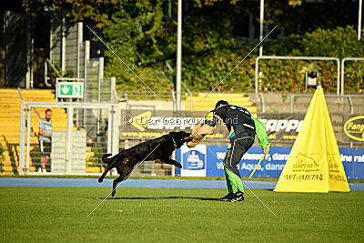 Cliff vom Hause Ripp