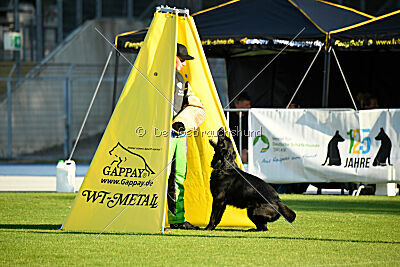 Cliff vom Hause Ripp