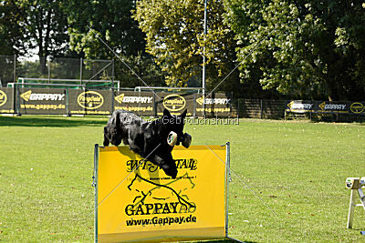 Cliff vom Hause Ripp