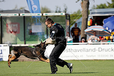 Cliff vom Neuzeller Brunnen