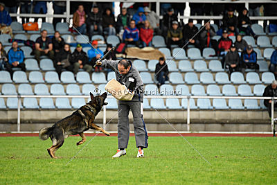 Cliff vom Neuzeller Brunnen