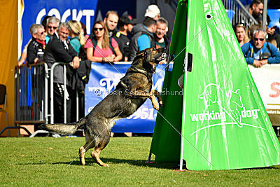 Cliff vom Neuzeller Brunnen