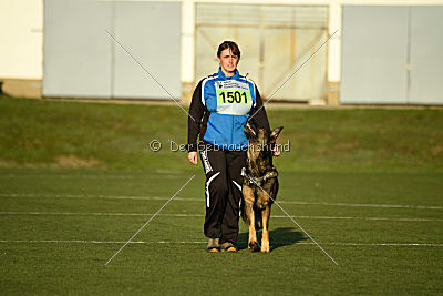 Cliff vom Neuzeller Brunnen