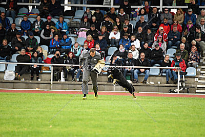 Cliff vom Schloßsee