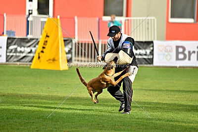Cloe del Pableras