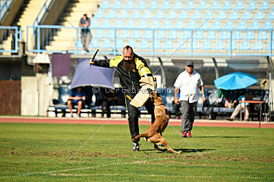Cloe del Pableras