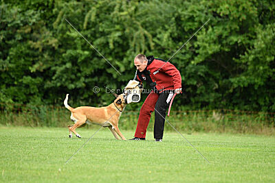 Clooney vom Clan der Wölfe