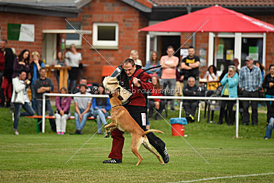 Clooney vom Clan der Wölfe