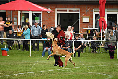 Clooney vom Clan der Wölfe